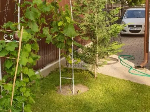 Eladó ház Budapest XV. kerület, Pestújhely 135 nm