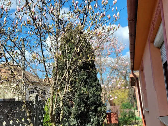 Eladó ház Kistarcsa 140 nm