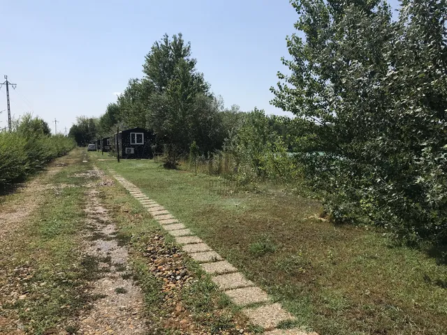 Eladó mezőgazdasági ingatlan Délegyháza 49216 nm