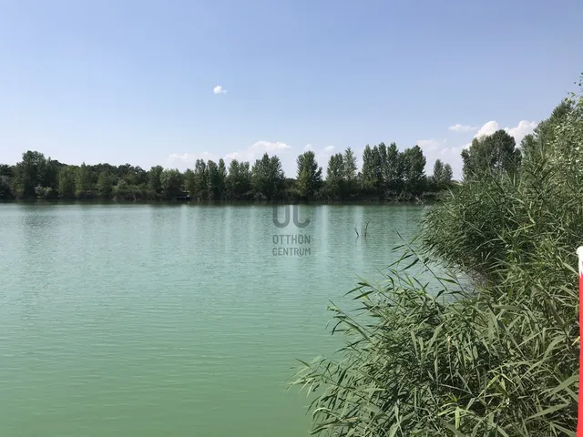 Eladó mezőgazdasági ingatlan Délegyháza 49216 nm