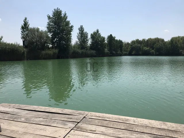 Eladó mezőgazdasági ingatlan Délegyháza 49216 nm