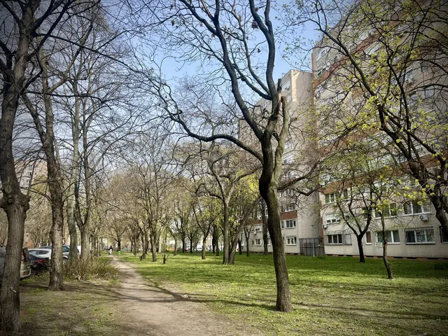 Eladó lakás Budapest XIV. kerület, Alsórákos 46 nm