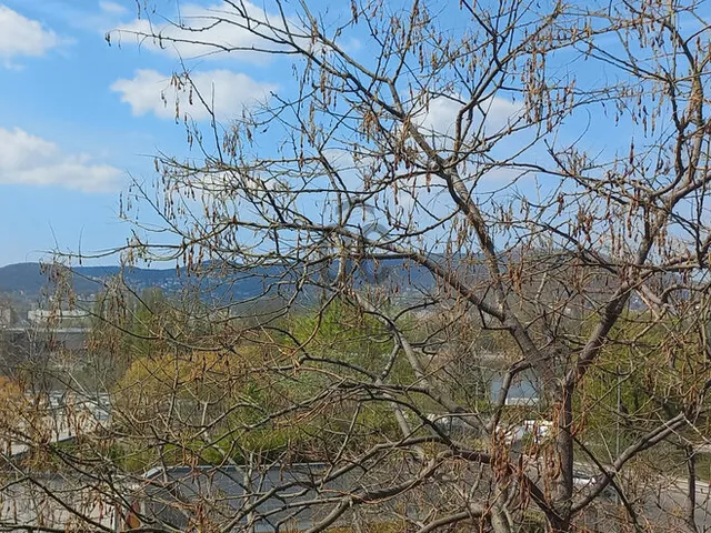 Eladó lakás Budapest XIII. kerület, Vizafogó 57 nm