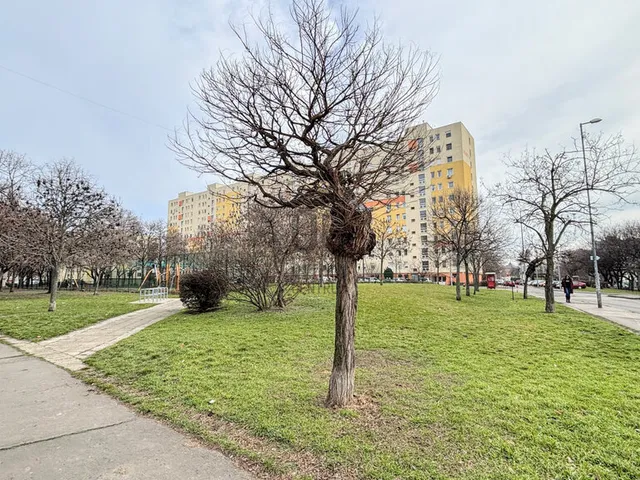 Eladó lakás Budapest XIX. kerület, Kispest 52 nm