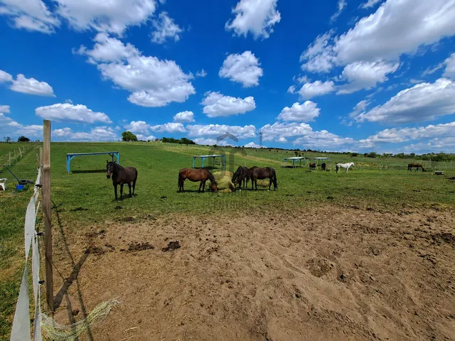 Eladó mezőgazdasági ingatlan Fót, Kisalag 22065 nm