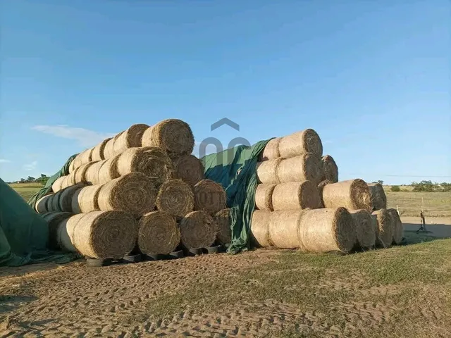 Eladó mezőgazdasági ingatlan Fót, Kisalag 22065 nm