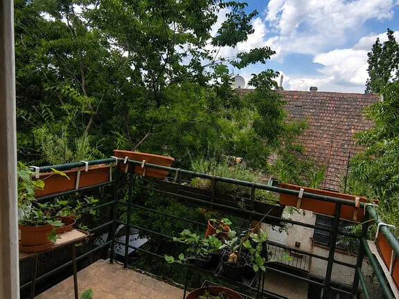 Eladó lakás Budapest XIV. kerület, Herminamező 44 nm