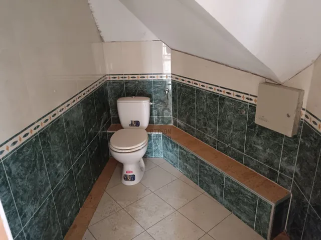 Eladó ház Alsónémedi 309 nm
