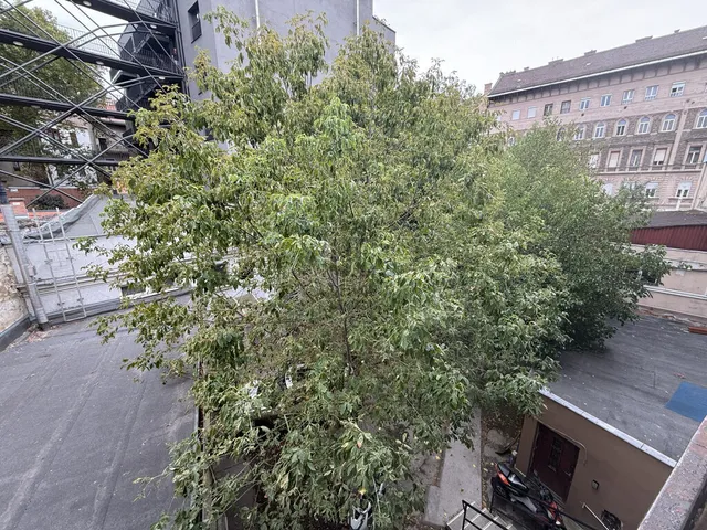 Eladó lakás Budapest VIII. kerület 38 nm