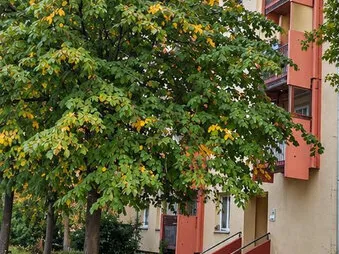 Eladó lakás Budapest XVII. kerület, Rákoskeresztúr 73 nm