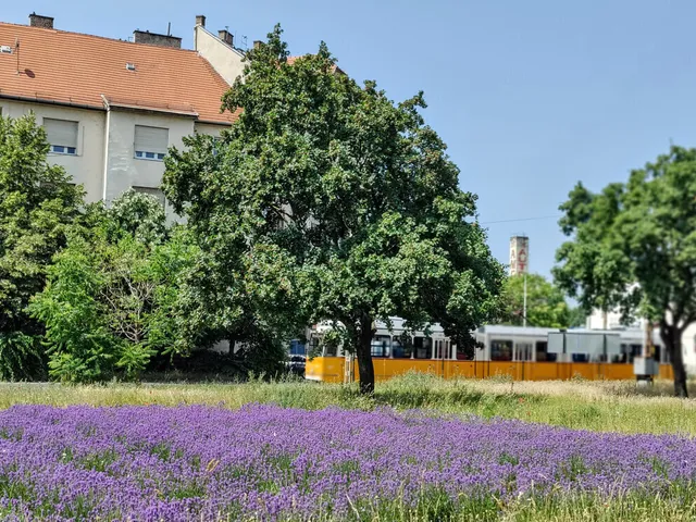 Eladó lakás Budapest IX. kerület, Külső Ferencváros 66 nm