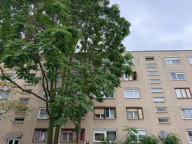 Eladó lakás Budapest XXI. kerület, Erdősor 63 nm