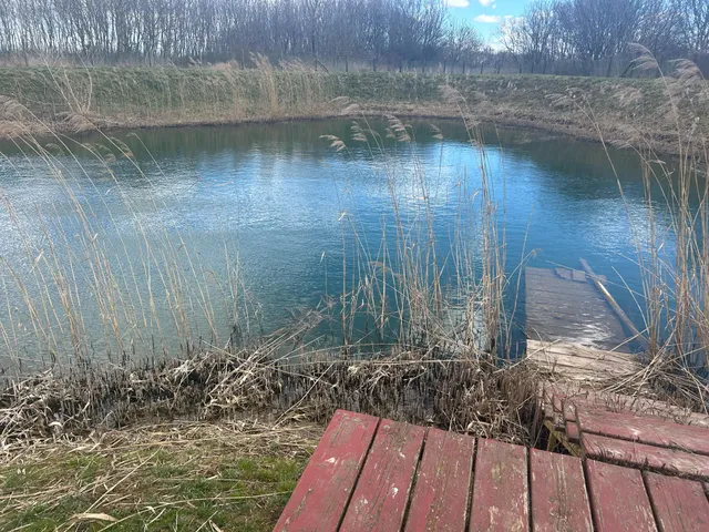 Eladó mezőgazdasági ingatlan Balogunyom 341 nm