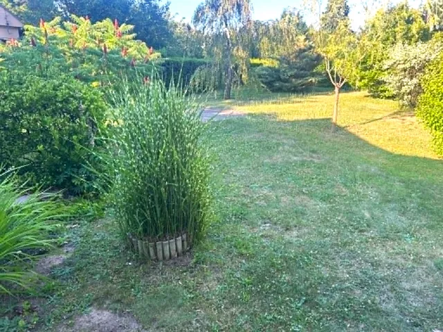 Eladó telek Szombathely, Parkerdő lakókert 765 nm