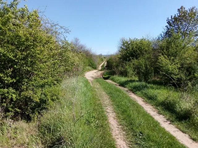 Eladó telek Budakeszi, Alvég, 8102 3170 nm