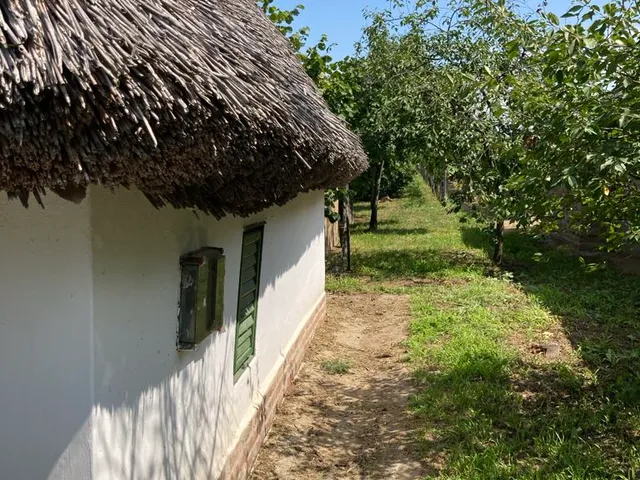 Eladó mezőgazdasági ingatlan Buzsák 50 nm