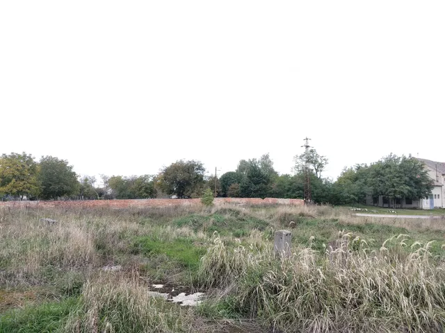 Eladó telek Zámoly 24939 nm