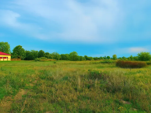 Eladó kereskedelmi és ipari ingatlan Dunavarsány, Nagyvarsány, Ipar út 42000 nm