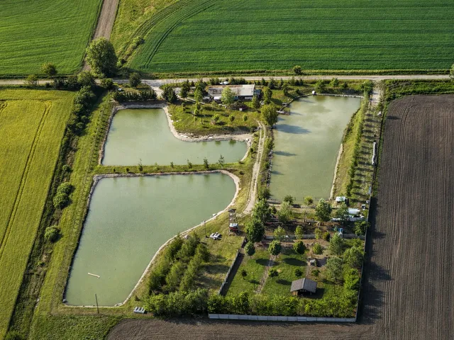 Eladó kereskedelmi és ipari ingatlan Daruszentmiklós, pázmánd puszta 231 nm