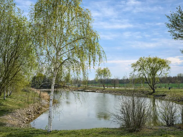 Eladó kereskedelmi és ipari ingatlan Daruszentmiklós, pázmánd puszta 231 nm