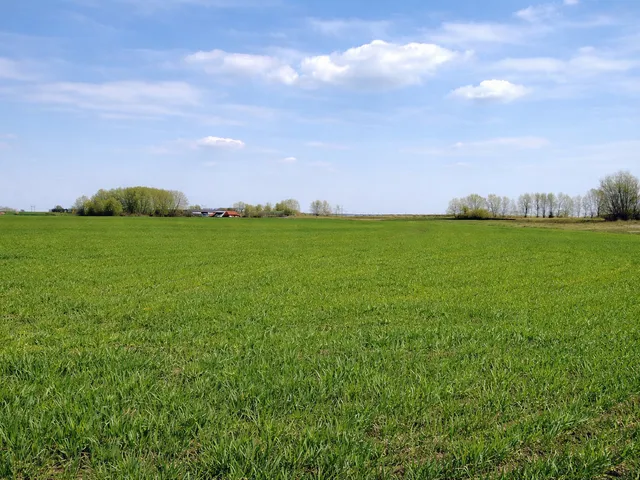 Eladó telek Daruszentmiklós, 6228 126971 nm