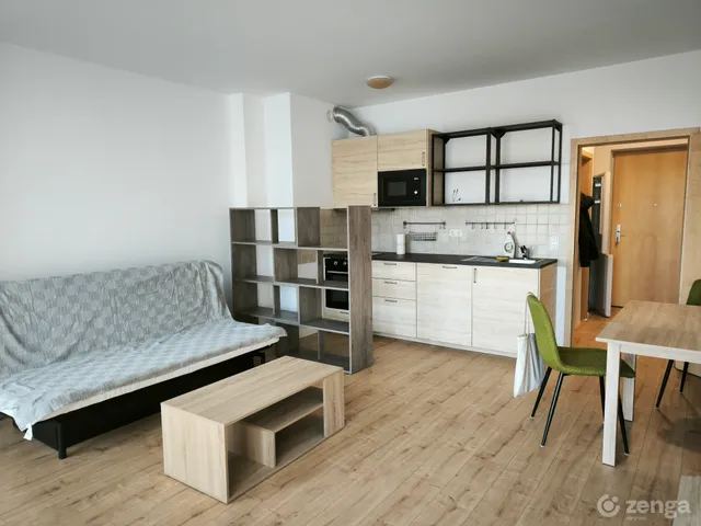 Kiadó lakás Budapest IX. kerület, Középső Ferencváros 37 nm