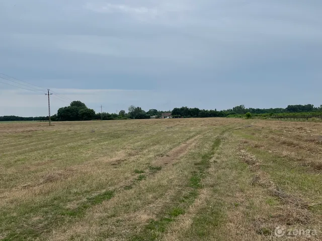 Eladó telek Monor 53765 nm