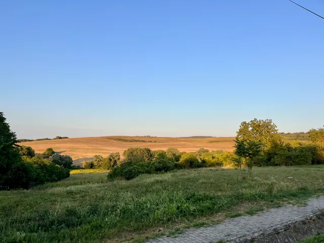 Eladó telek Somogyacsa, Táncsics Mihály utca 12000 nm