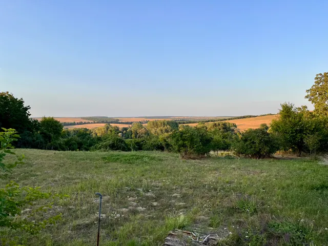 Eladó telek Somogyacsa, Táncsics Mihály utca 12000 nm