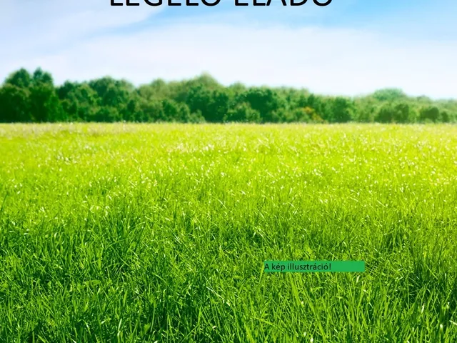 Eladó mezőgazdasági ingatlan Újtelek 45600 nm