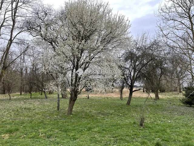 Eladó ház Nádasd 35 nm