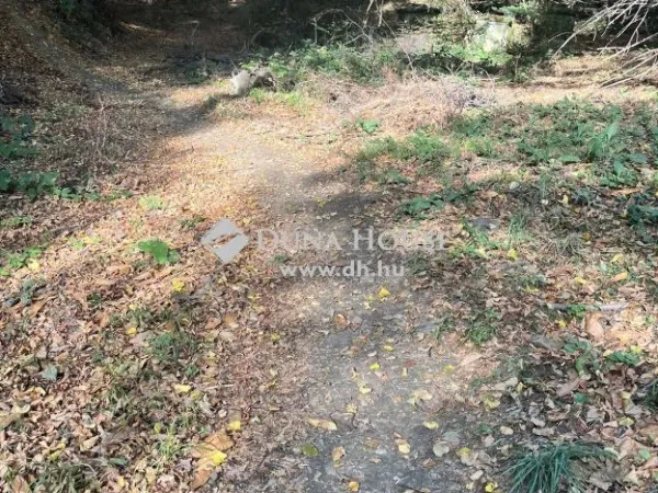 Eladó telek Kőszeg 1247 nm