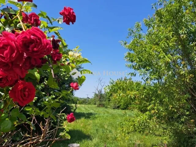 Eladó ház Sümegcsehi 105 nm