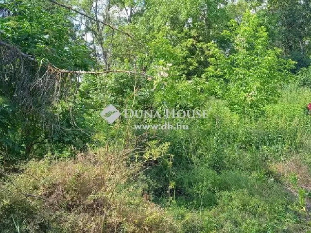 Eladó kereskedelmi és ipari ingatlan Bábolna 70026 nm