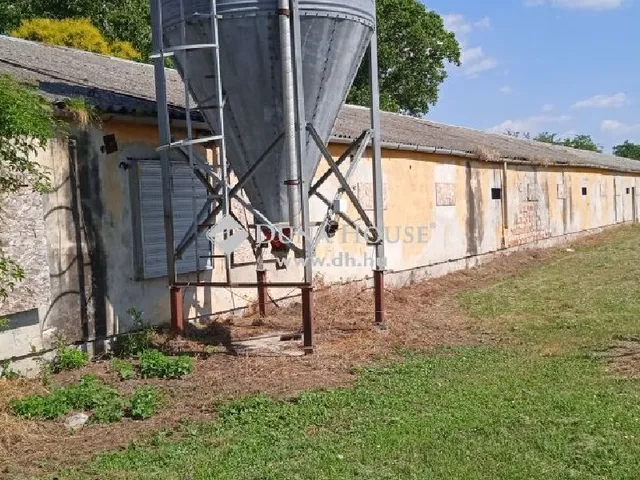 Eladó kereskedelmi és ipari ingatlan Bábolna 70026 nm