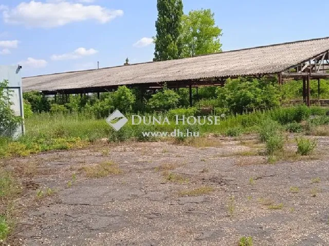 Eladó kereskedelmi és ipari ingatlan Bábolna 70026 nm