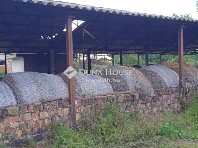 Eladó kereskedelmi és ipari ingatlan Bábolna 70026 nm