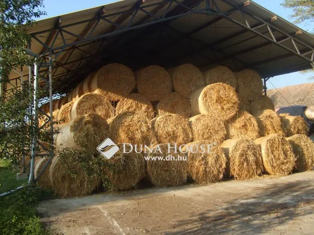 Eladó telek Jánosháza 95822 nm