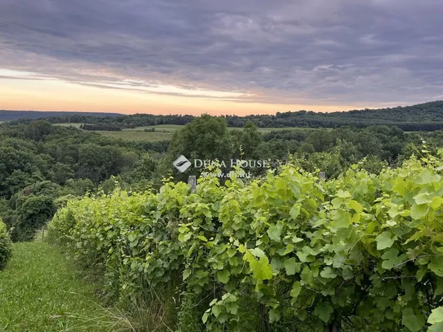 Eladó telek Kőszegdoroszló 2115 nm