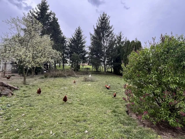 Eladó telek Bögöte 2298 nm