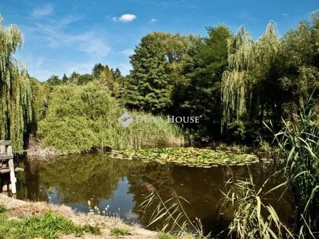 Eladó ház Nádasd 550 nm