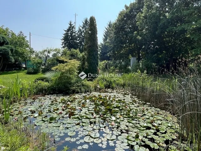 Eladó ház Kőszeg 280 nm
