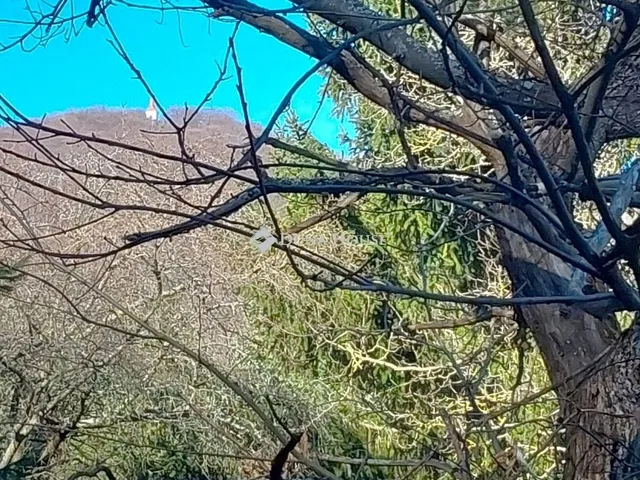 Eladó ház Velem 75 nm