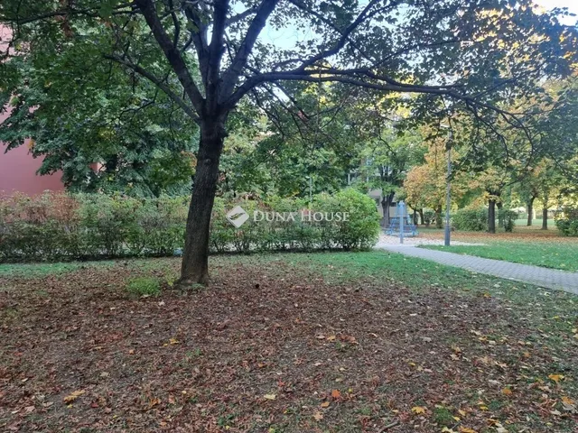 Eladó lakás Szombathely 61 nm