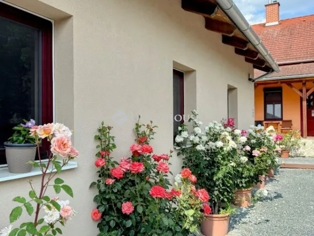 Eladó ház Szentgotthárd 250 nm