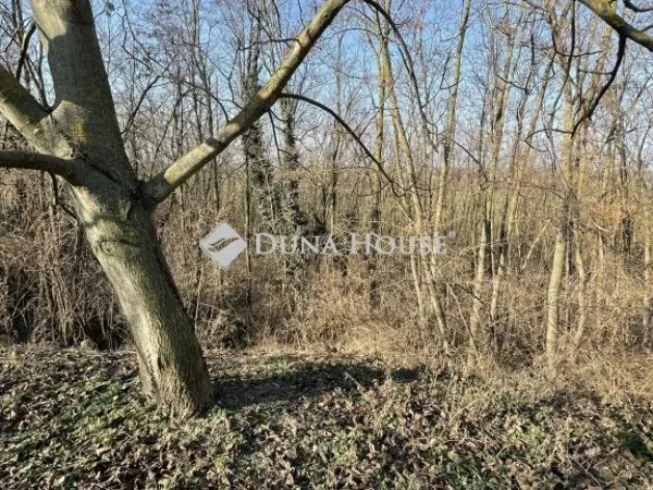 Eladó telek Sárvár 5415 nm