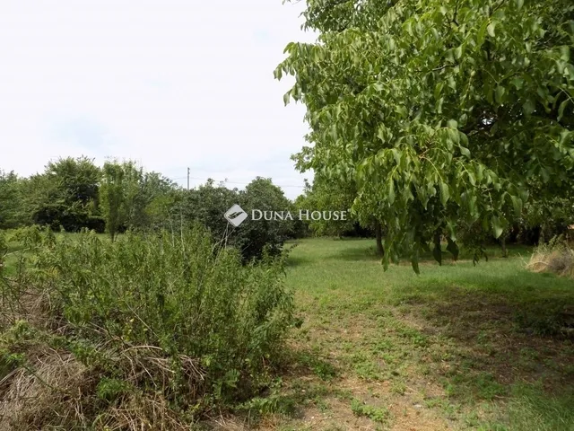 Eladó ház Zsédeny 136 nm