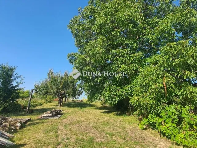 Eladó telek Gencsapáti 3767 nm