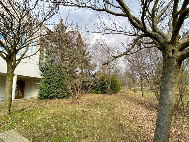 Eladó lakás Kőszeg 178 nm