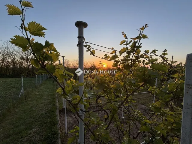 Eladó telek Sárvár 918 nm